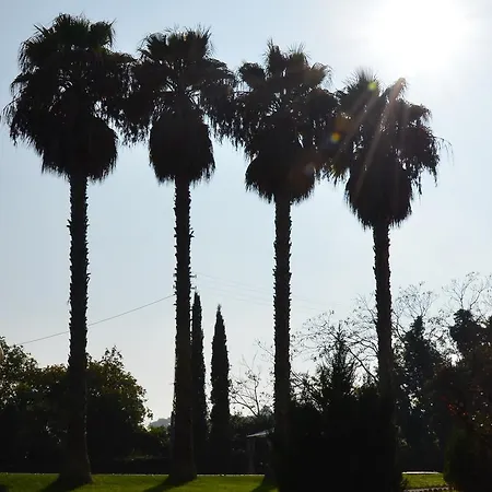 Montanari Rosati לינה וארוחת בוקר