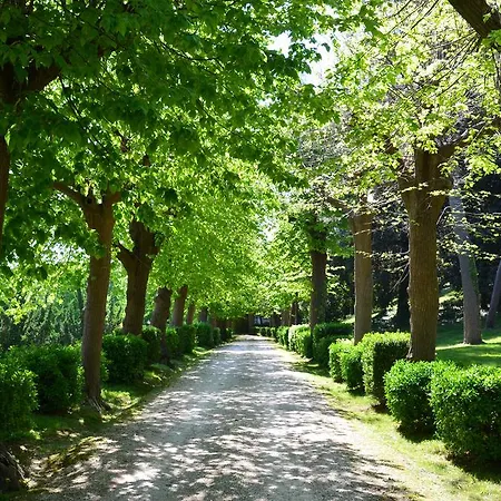 Montanari Rosati * פורטו סן ג'ורג'יו